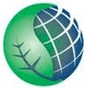 Accelerated Risk Management, LLC photo or logo