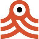 Conclusive Home Inspections photo or logo