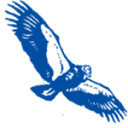 Condor Earth photo or logo