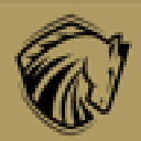 Valor Home Inspections photo or logo