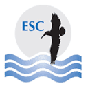 Environmental Safety Consultants, Inc. photo or logo