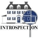 INTROSPECTION photo or logo