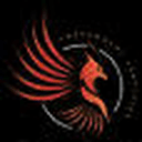 Phoenix Home Inspections LLC photo or logo