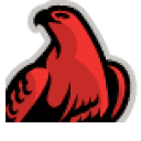 RedHawk Home Inspections, LLC photo or logo