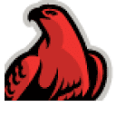 RedHawk Home Inspections, LLC logo